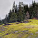 Illustration for article titled Mount Rainier: I want a Miata nowem/em